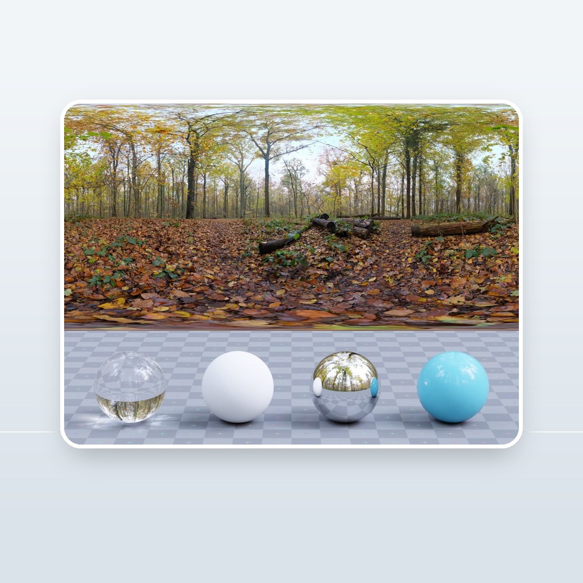 Autumn Ground HDRI preview