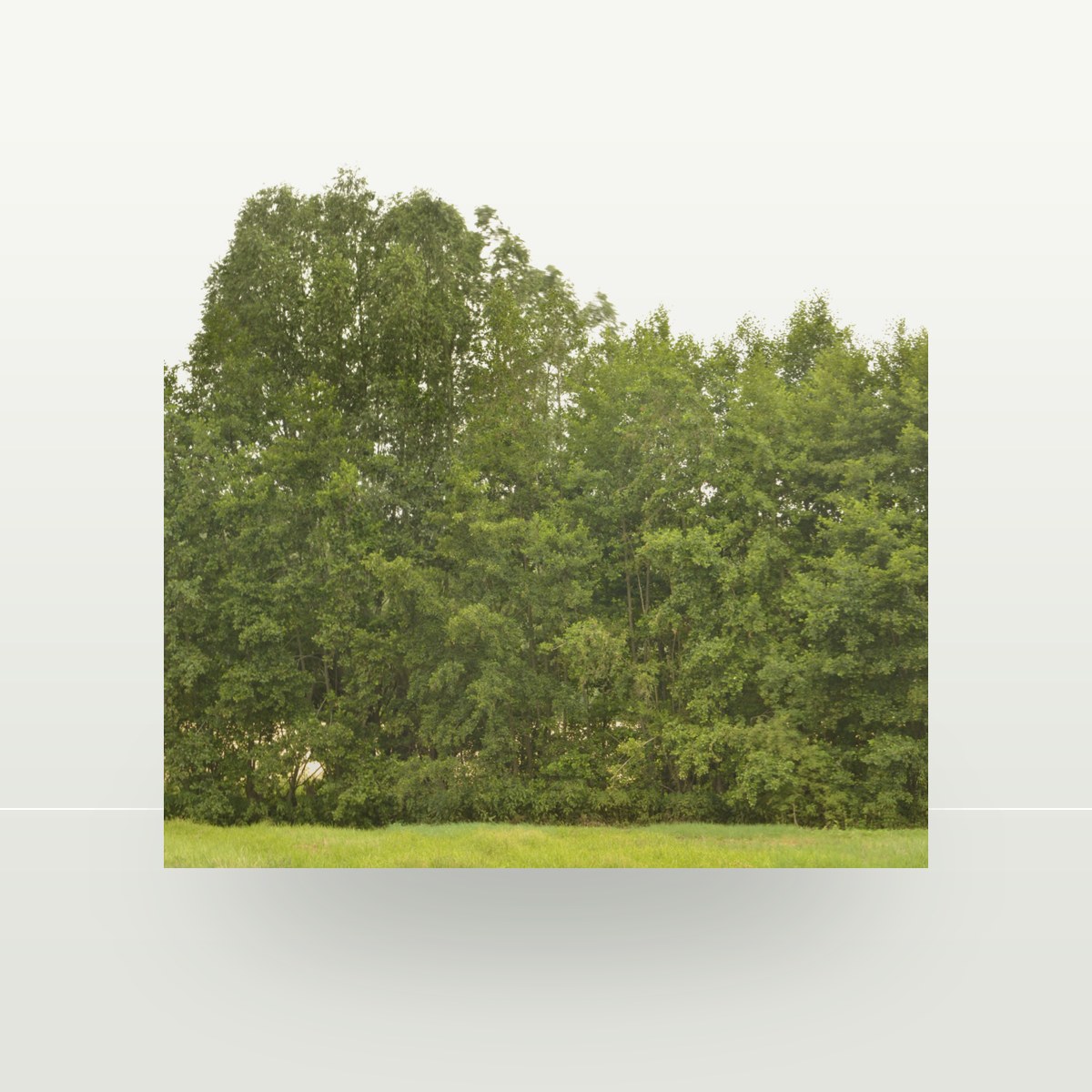 Backdrop 005 Texture preview