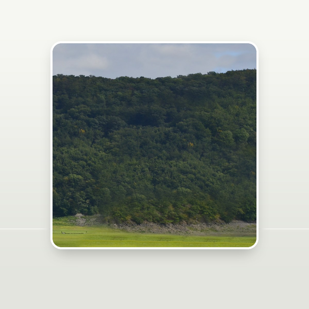 Backdrop 006 Texture preview