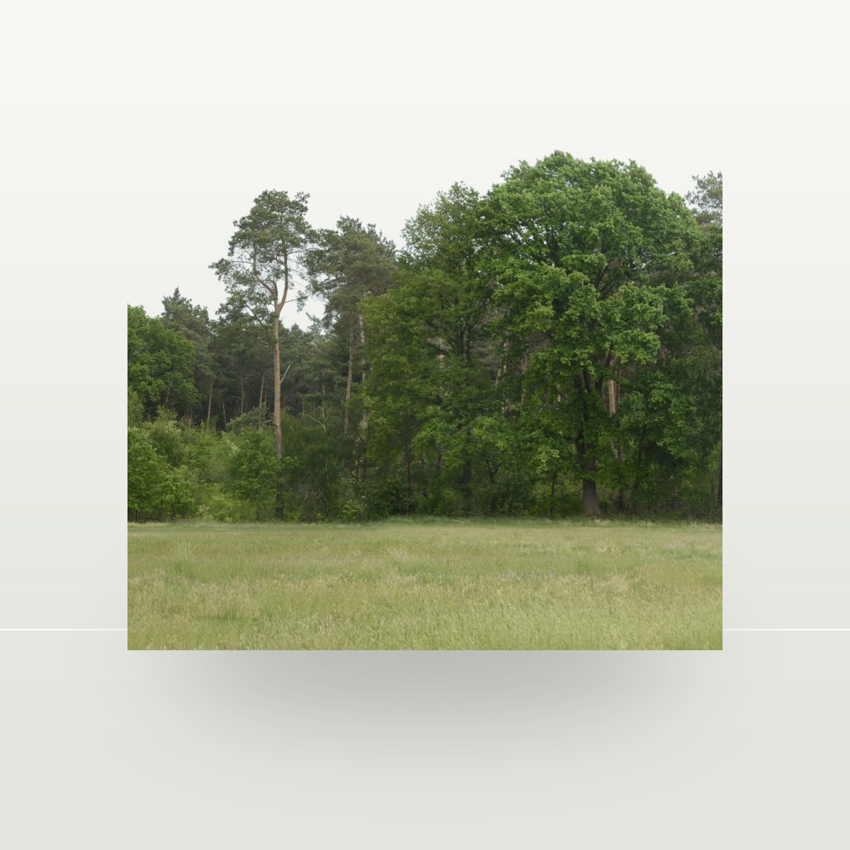 Backdrop 007 Texture preview