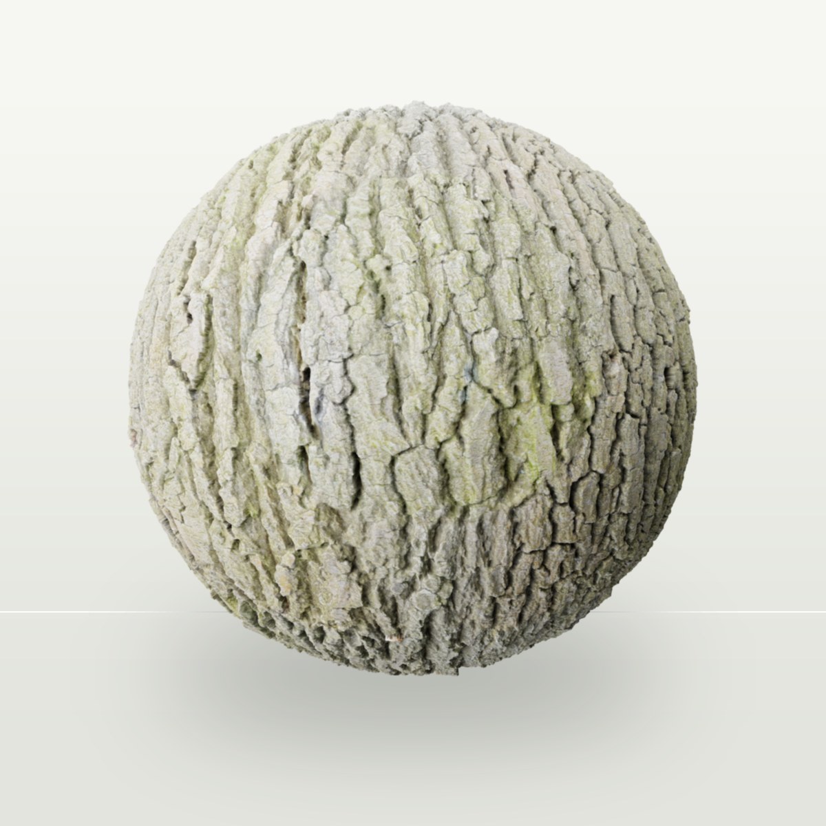 Bark 007 Texture preview
