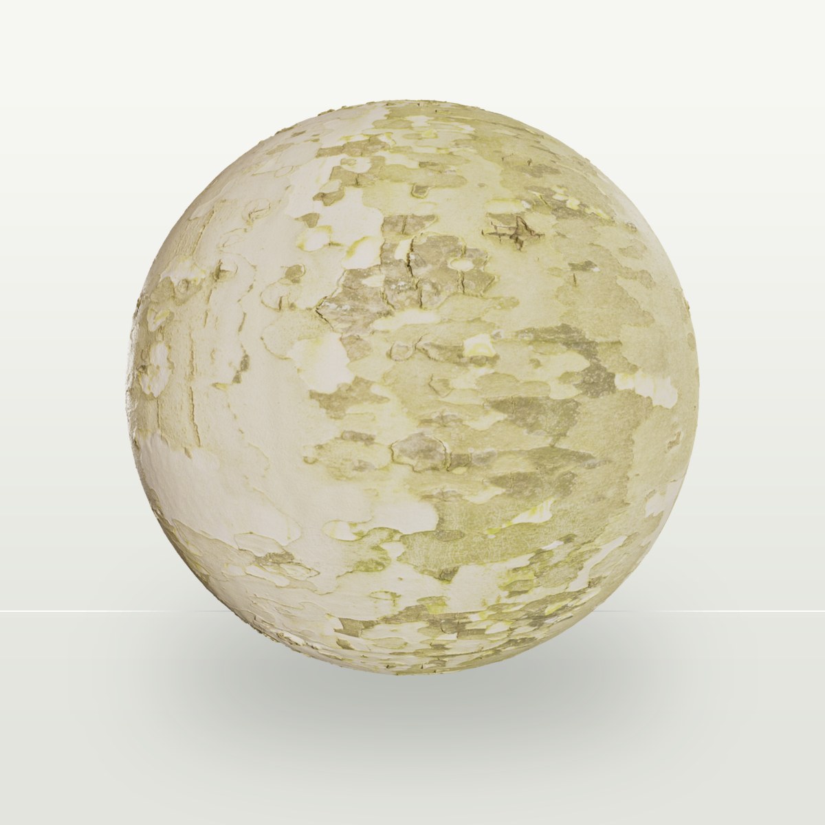 Bark 009 Texture preview