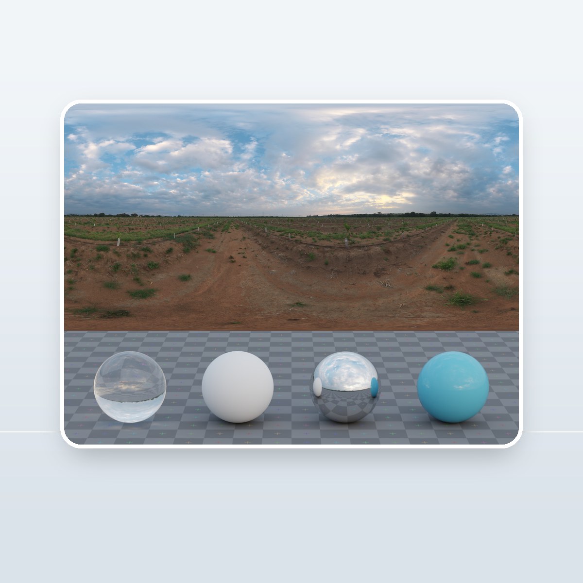 Citrus Orchard HDRI preview