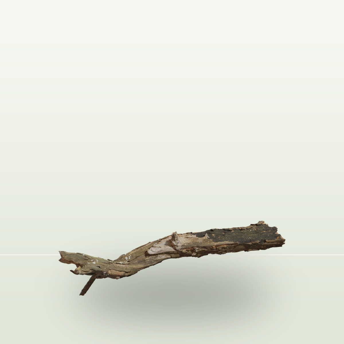 Dead Tree Trunk 02 3D Model preview