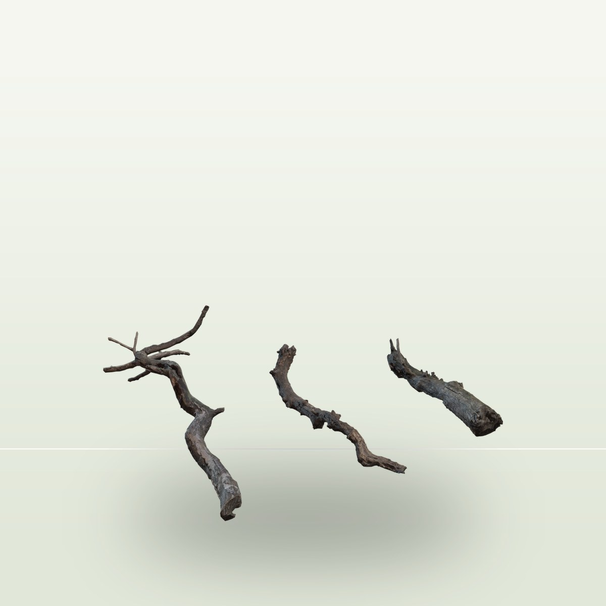 Dry Branches Medium 01 3D Model preview