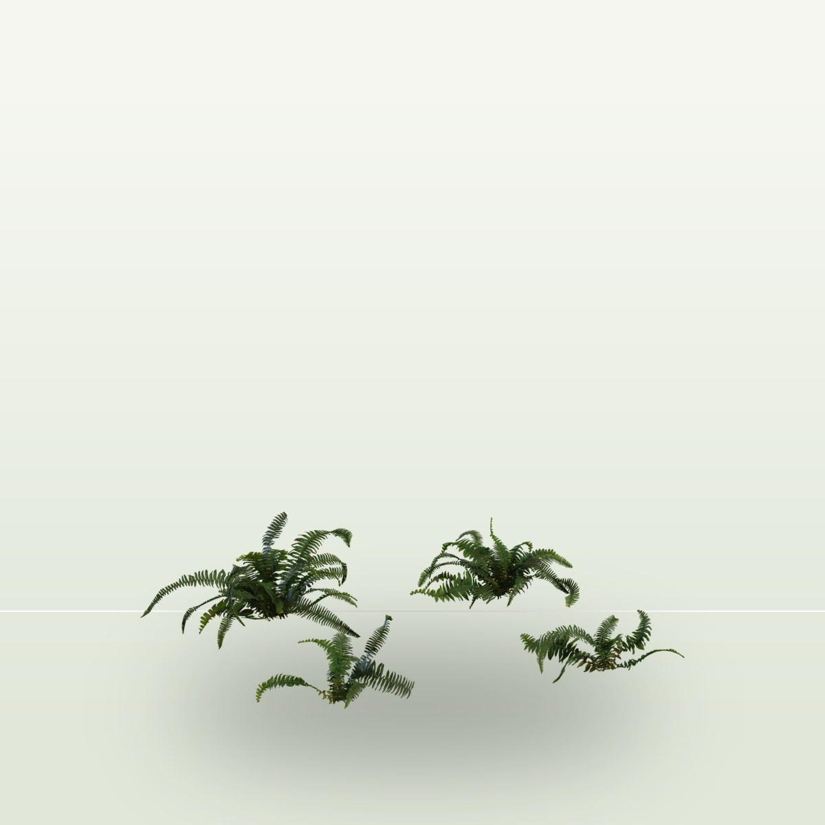 Fern 02 3D Model preview