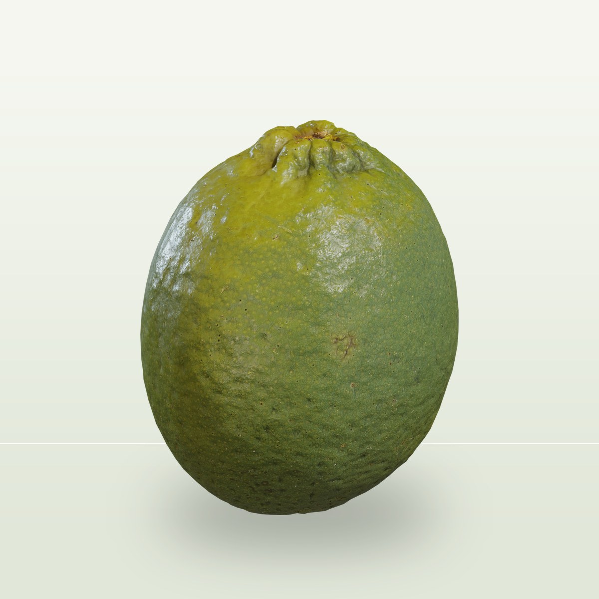 Food Lime 01 3D Model preview