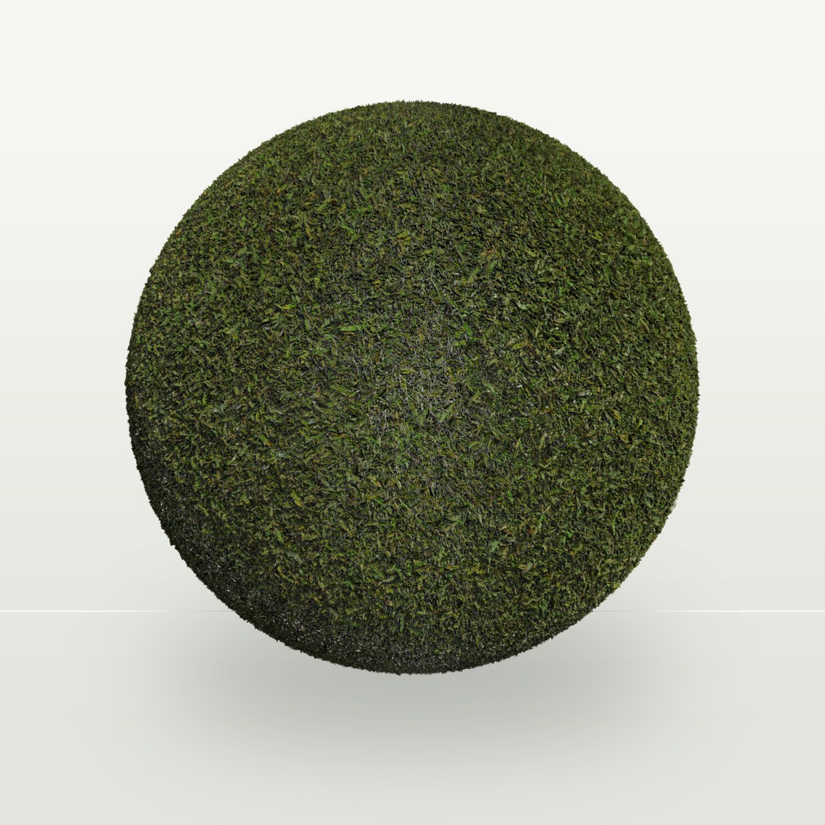 Grass 003 Texture preview