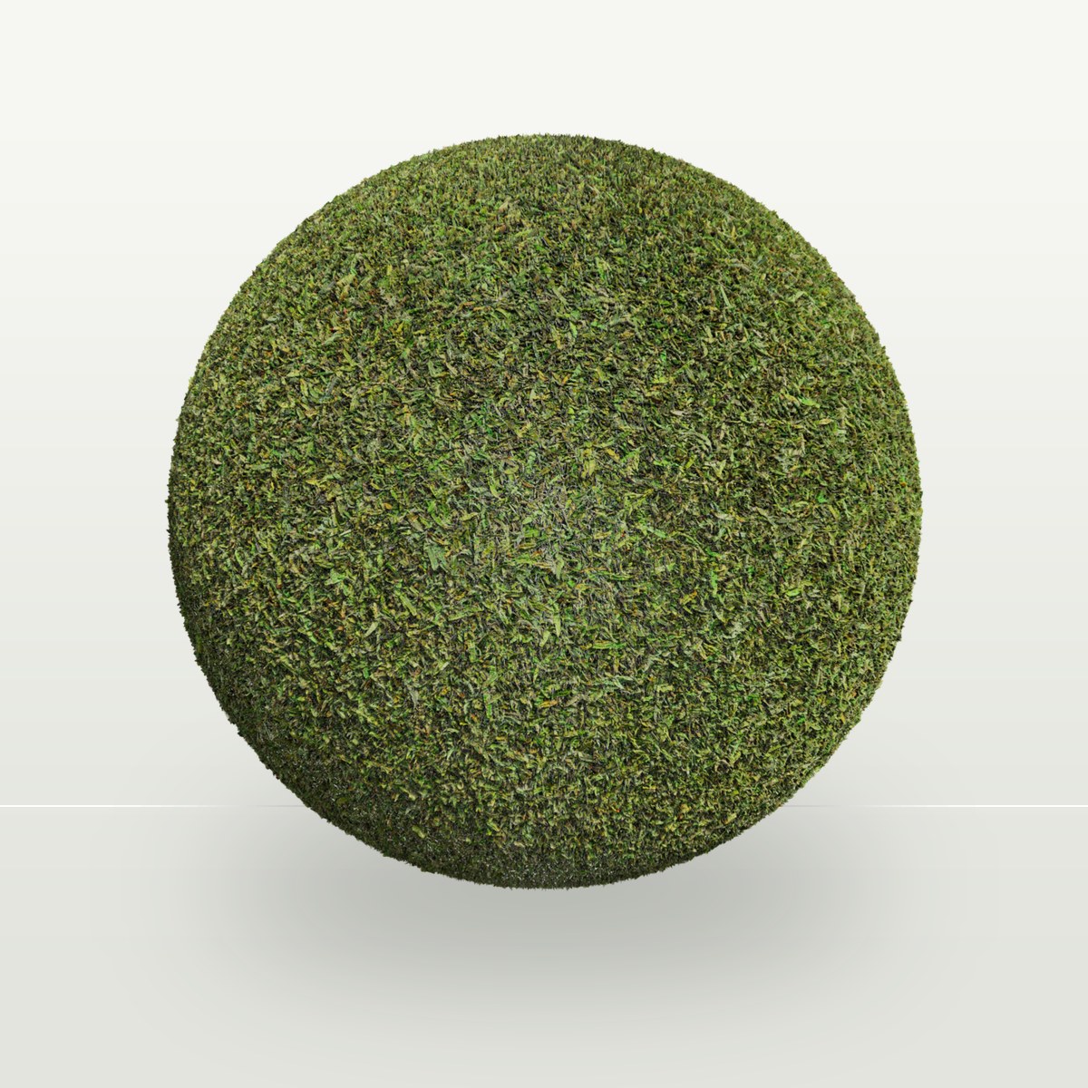 Grass 004 Texture preview