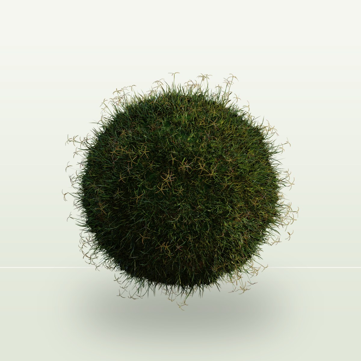Grass Bermuda 01 3D Model preview