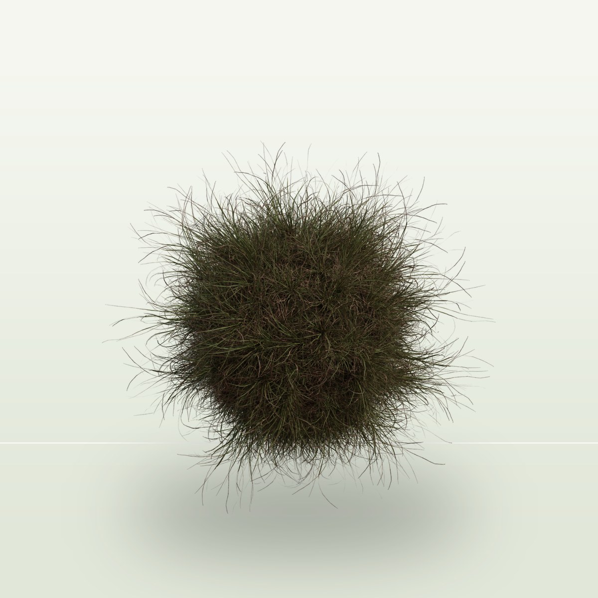 Grass Medium 02 3D Model preview