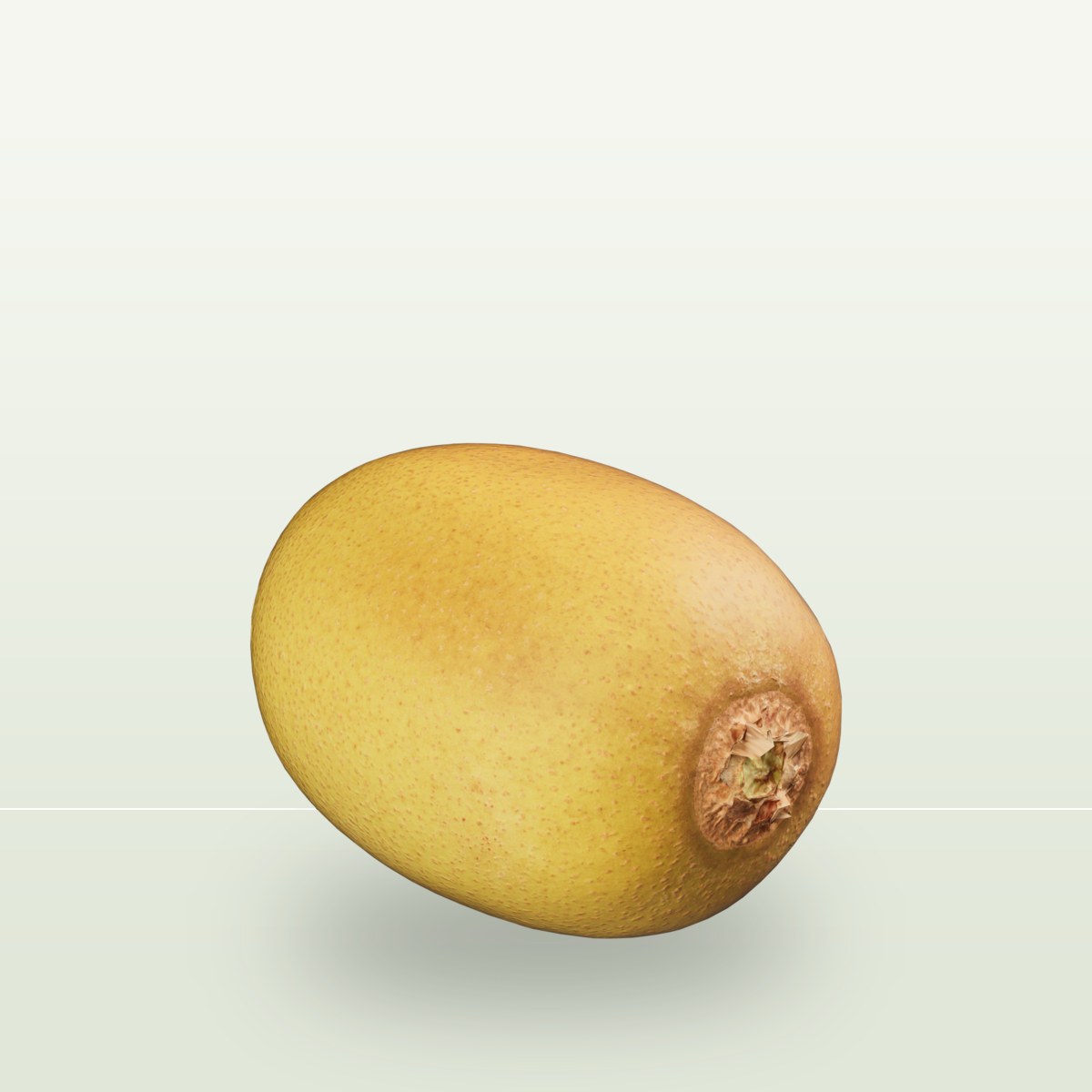 Kiwi 001 3D Model preview