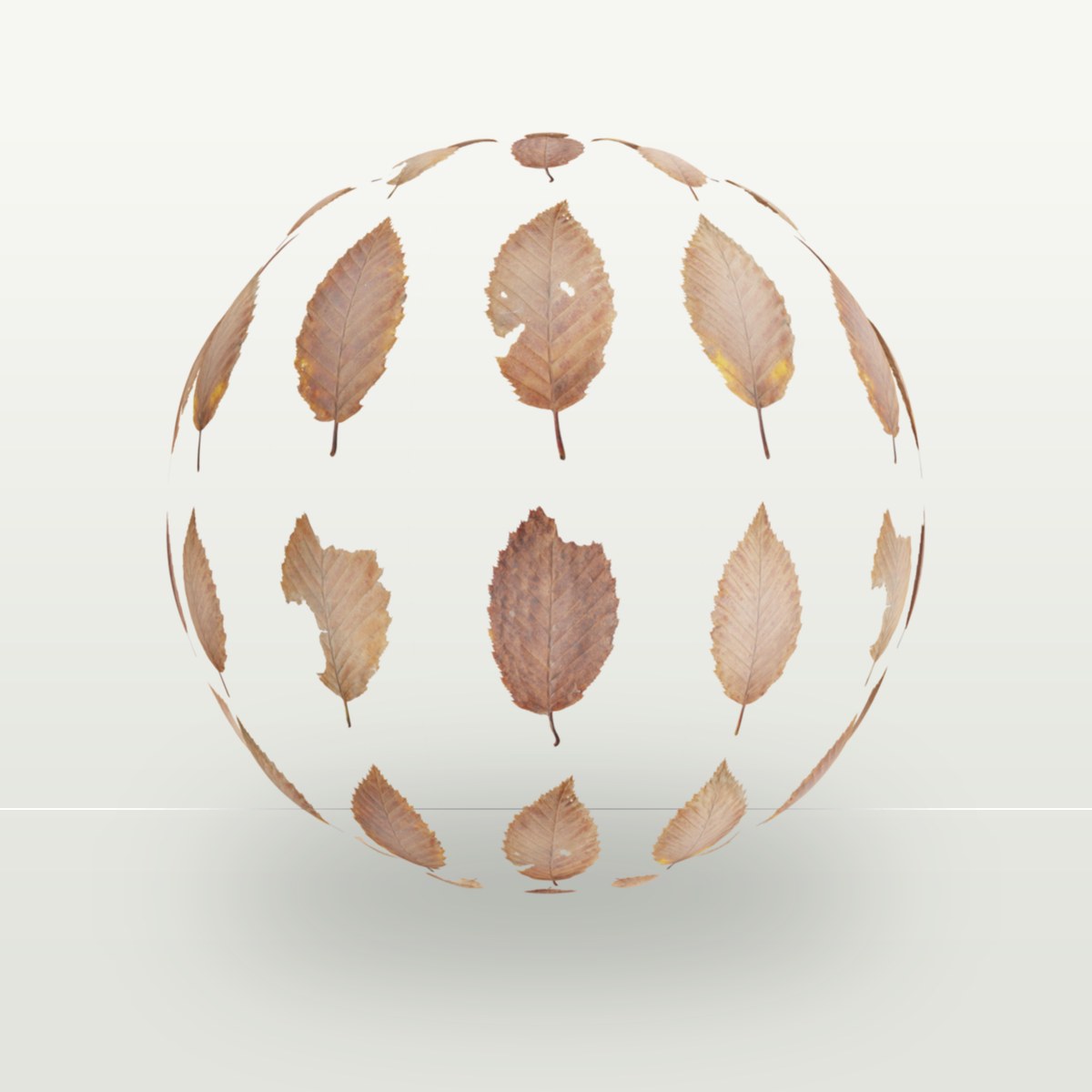 Leaf Set 011 Texture preview