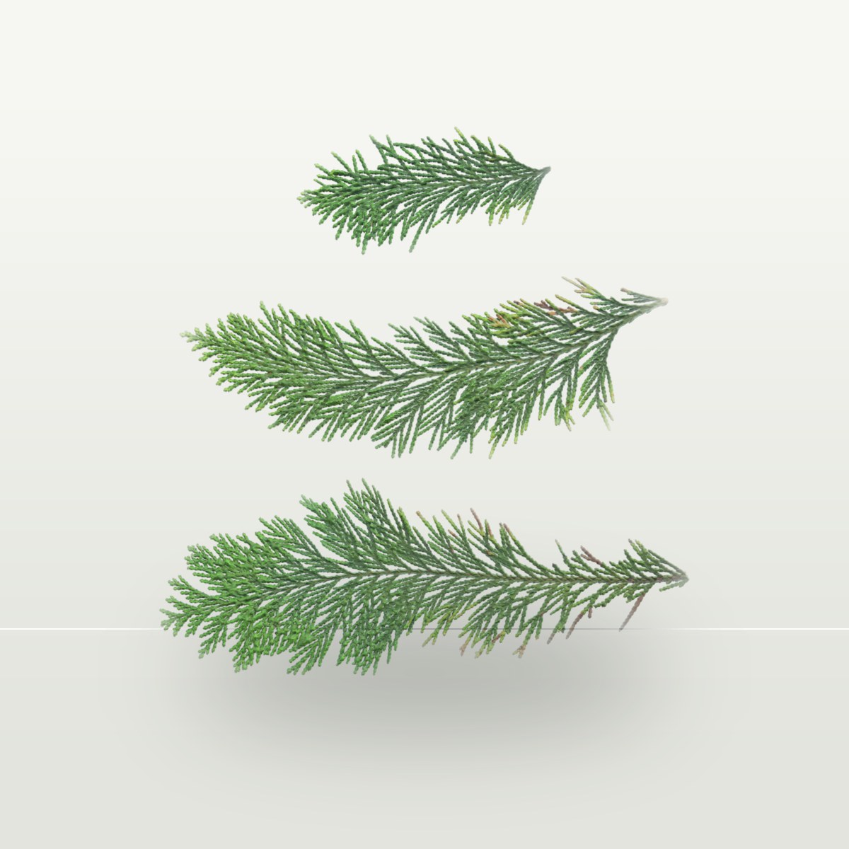 Leaf Set 019 Texture preview