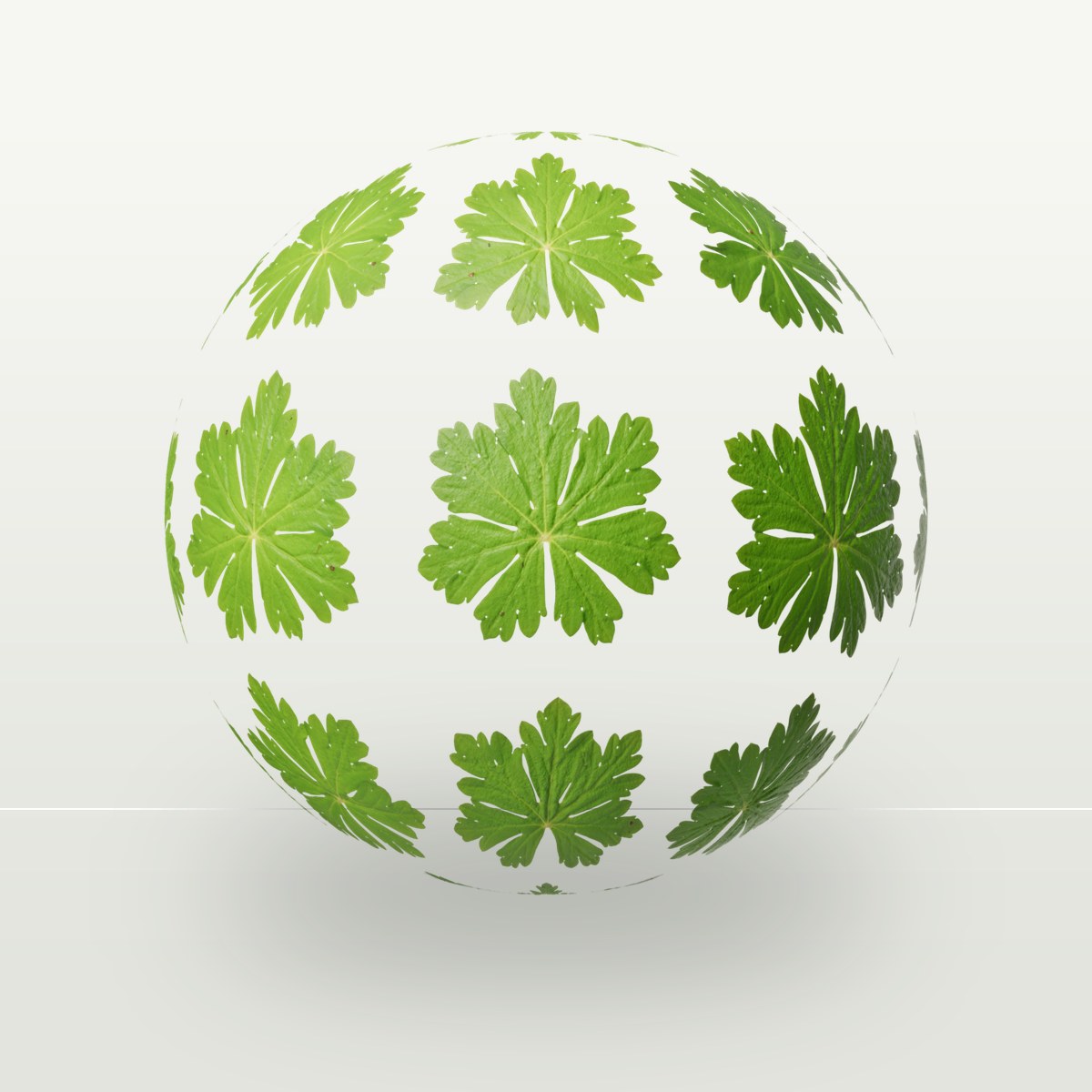 Leaf Set 025 Texture preview