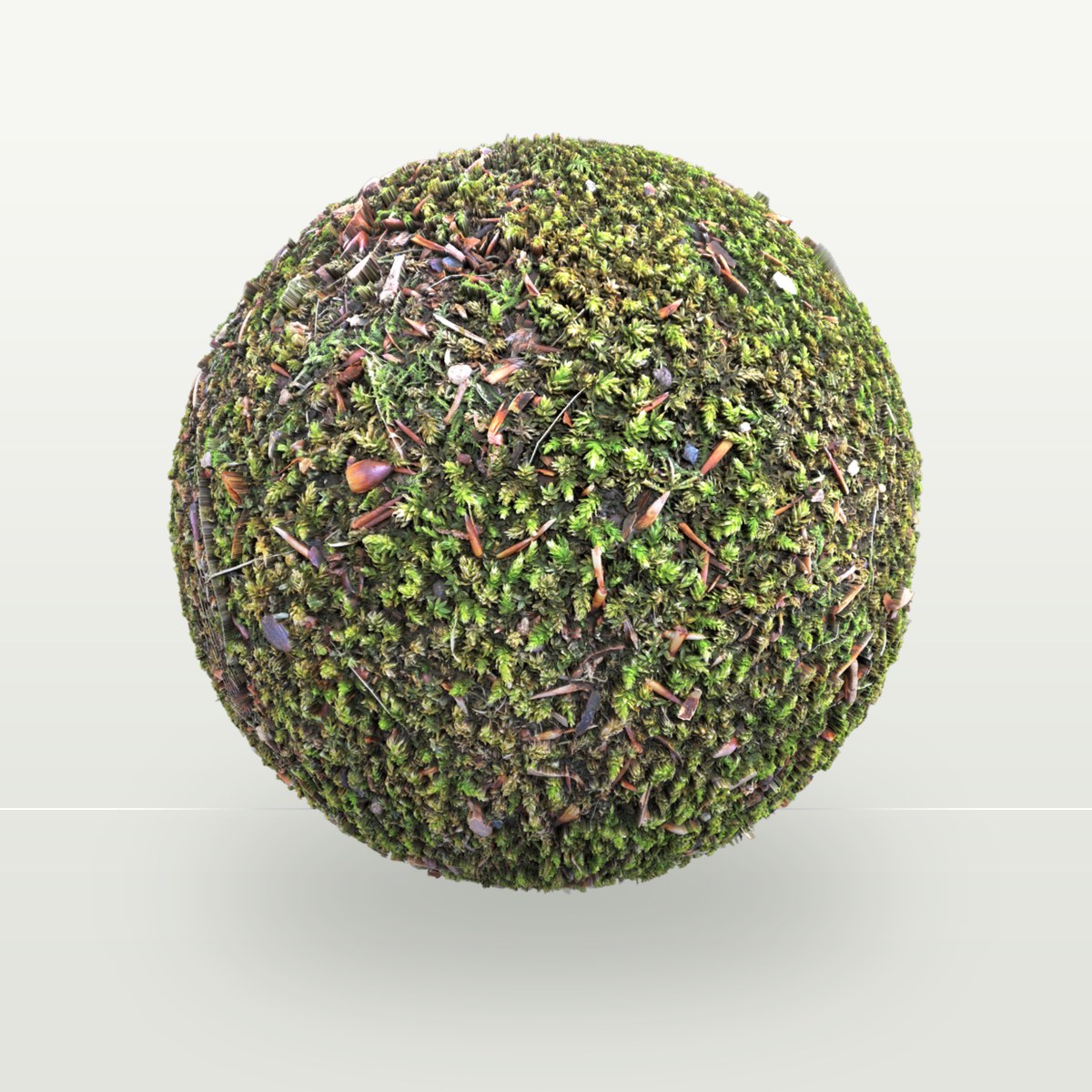 Moss 001 Texture preview