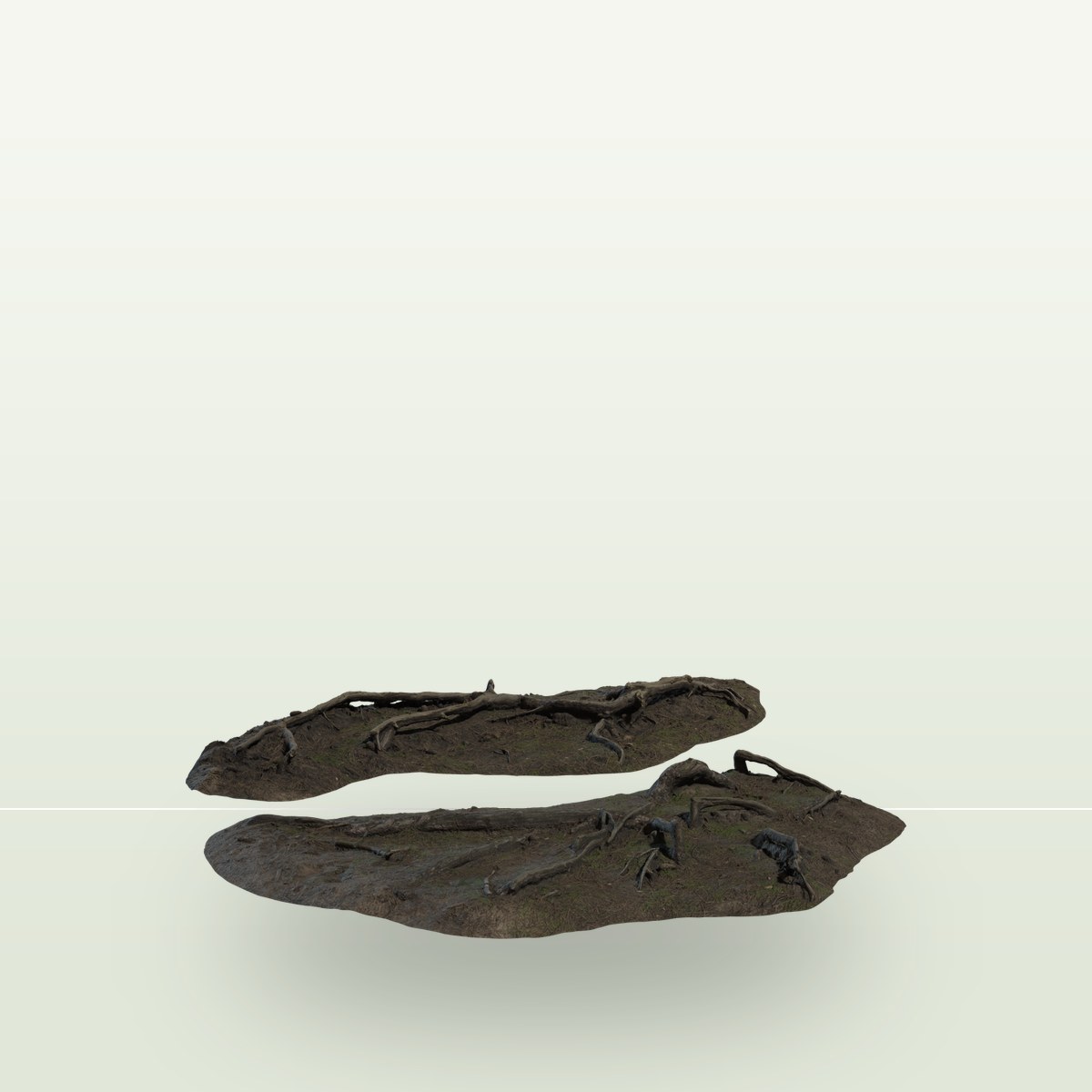Pine Roots 3D Model preview