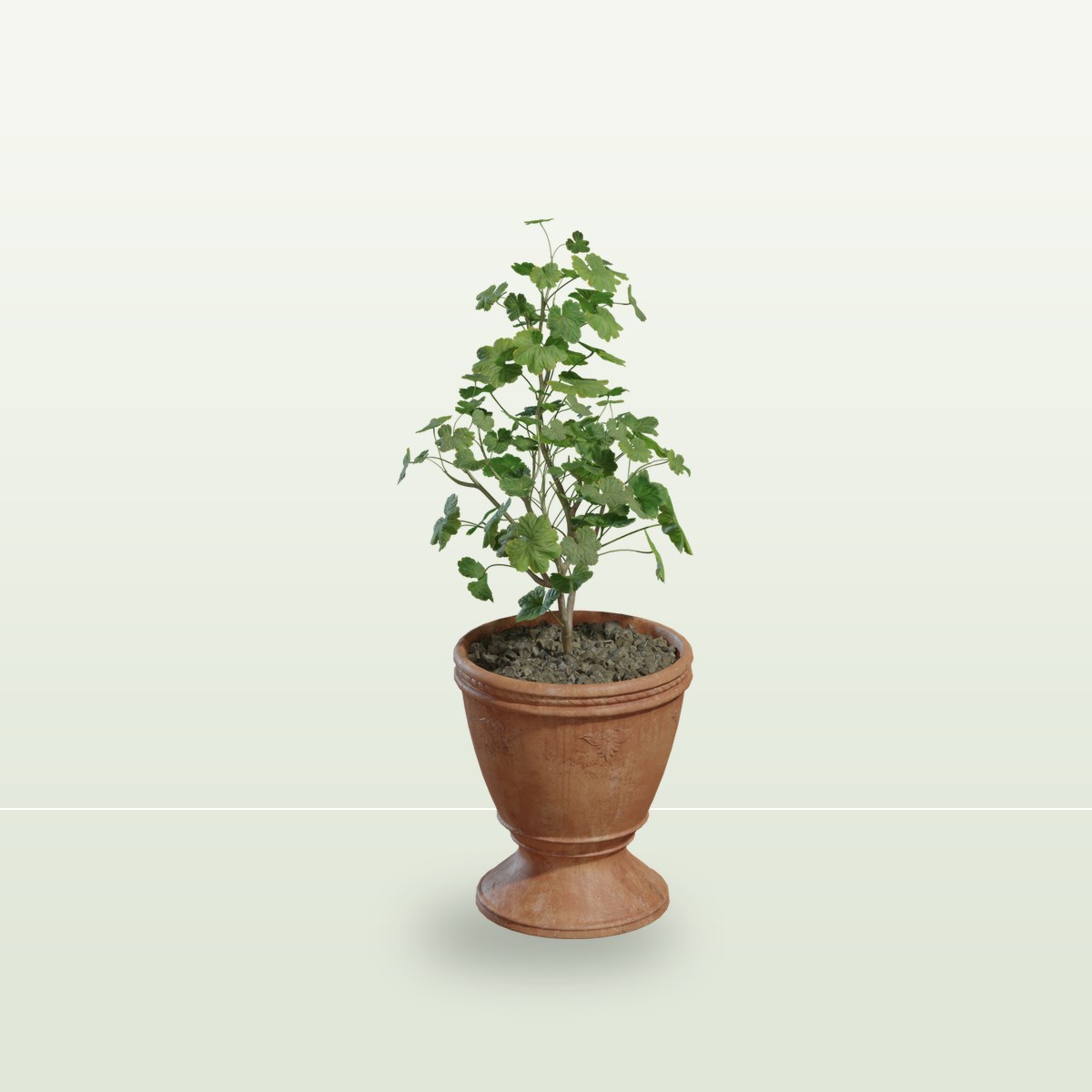 Potted Plant 01 3D Model preview
