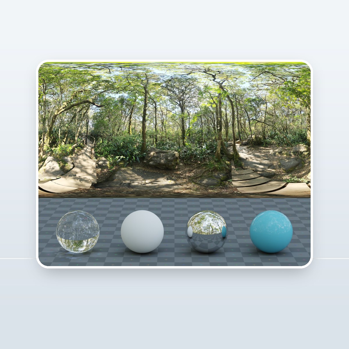 Rainforest Trail HDRI preview