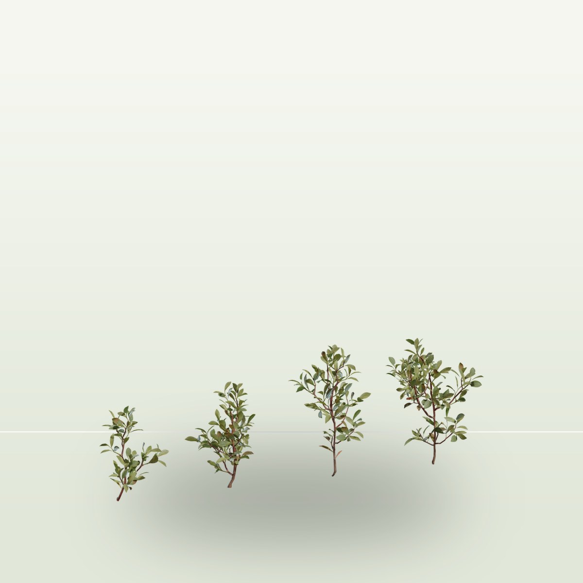 Shrub 04 3D Model preview