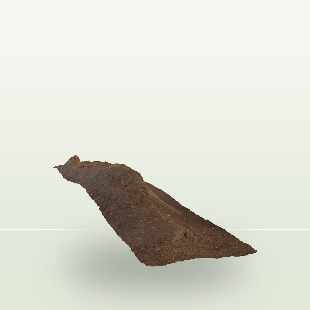 Single Root 3D Model preview