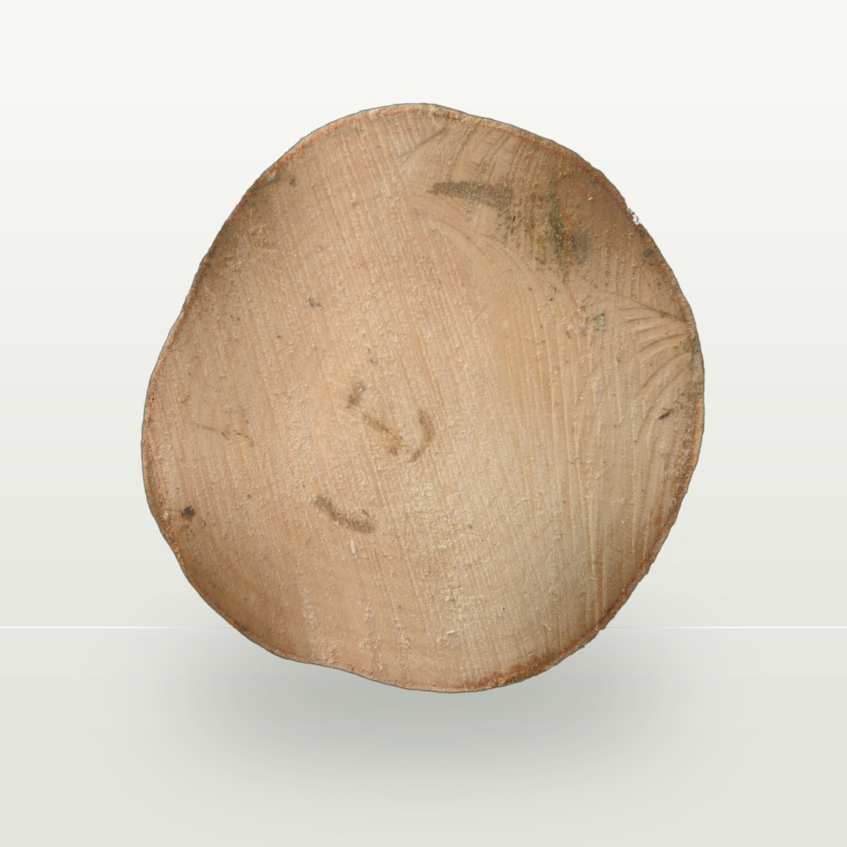 Tree End 001 Texture preview