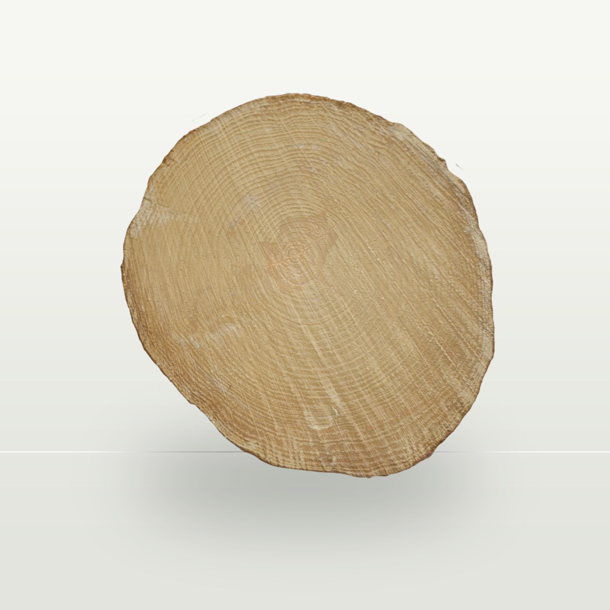 Tree End 004 Texture preview