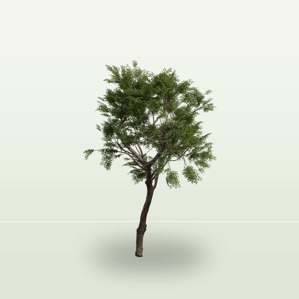 Tree Small 02 3D Model preview