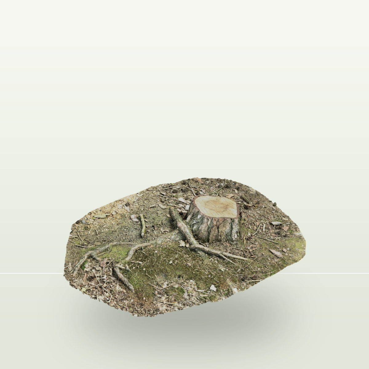 Tree Stump 001 3D Model preview