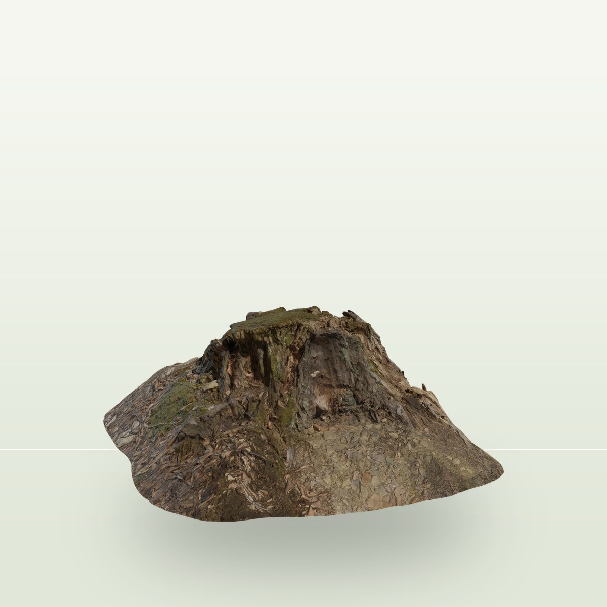 Tree Stump 01 3D Model preview