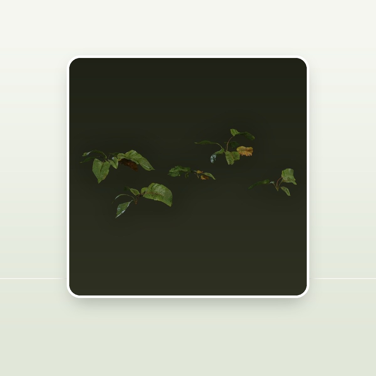 Weed Plant 02 3D Model preview